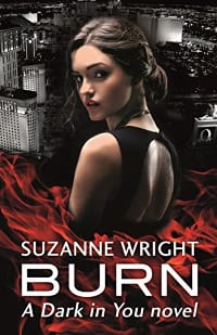 billionaire bad boys: burn
