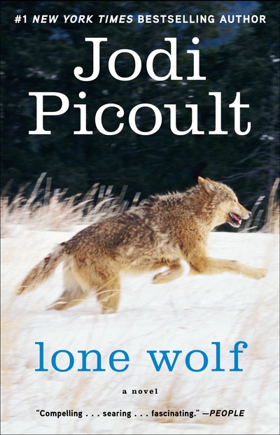 jodi picoult books